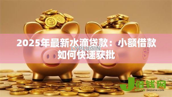 2025年最新水滴贷款：小额借款如何快速获批