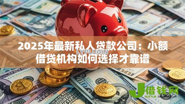 2025年最新私人贷款公司:小额借贷机构如何选择才靠谱 2025年最新私人贷款公司:小额借贷机构如何选择才靠谱