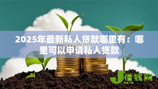 2025年最新私人贷款哪里有:哪里可以申请私人贷款 2025年最新私人贷款哪里有:哪里可以申请私人贷款