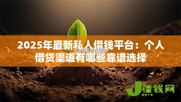 2025年最新私人借钱平台：个人借贷渠道有哪些靠谱选择