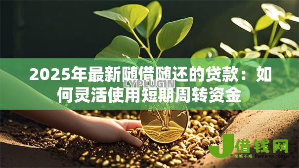 2025年最新随借随还的贷款:如何灵活使用短期周转资金 2025年最新随借随还的贷款:如何灵活使用短期周转资金