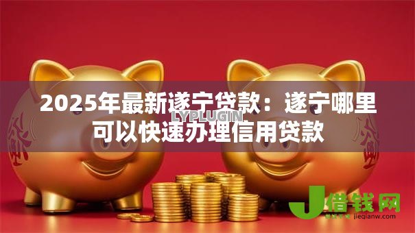 2025年最新遂宁贷款:遂宁哪里可以快速办理信用贷款 2025年最新遂宁贷款:遂宁哪里可以快速办理信用贷款