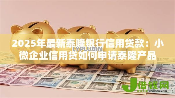2025年最新泰隆银行信用贷款：小微企业信用贷如何申请泰隆产品
