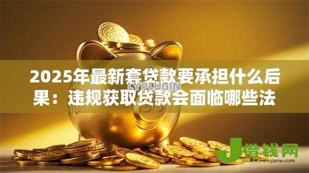 2025年最新套贷款要承担什么后果：违规获取贷款会面临哪些法律风险