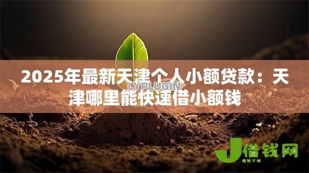 2025年最新天津个人小额贷款：天津哪里能快速借小额钱