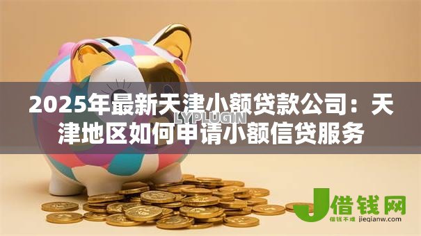 2025年最新天津小额贷款公司：天津地区如何申请小额信贷服务