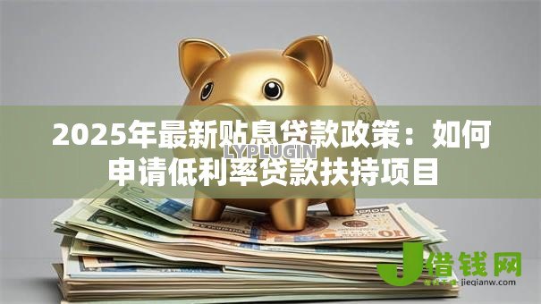 2025年最新贴息贷款政策：如何申请低利率贷款扶持项目