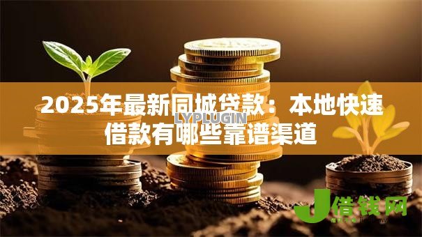 2025年最新同城贷款：本地快速借款有哪些靠谱渠道