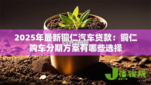 2025年最新铜仁汽车贷款:铜仁购车分期方案有哪些选择 2025年最新铜仁汽车贷款:铜仁购车分期方案有哪些选择