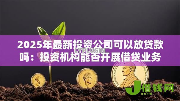 2025年最新投资公司可以放贷款吗：投资机构能否开展借贷业务