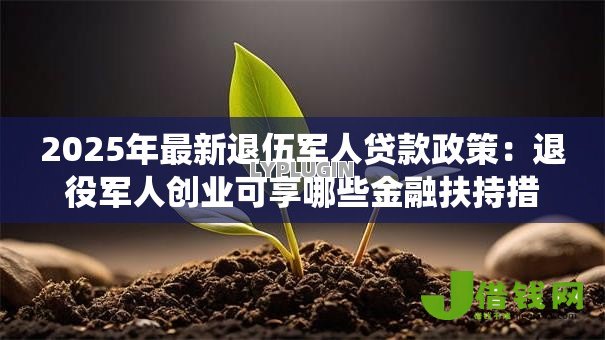 2025年最新退伍军人贷款政策：退役军人创业可享哪些金融扶持措施