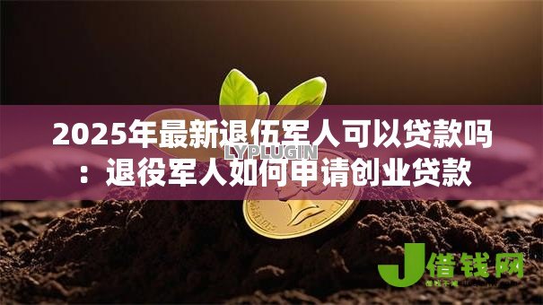 2025年最新退伍军人可以贷款吗：退役军人如何申请创业贷款