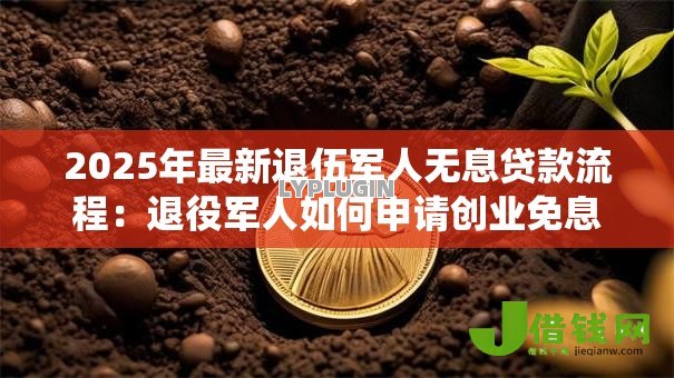 2025年最新退伍军人无息贷款流程:退役军人如何申请创业免息贷款 2025年最新退伍军人无息贷款流程:退役军人如何申请创业免息贷款