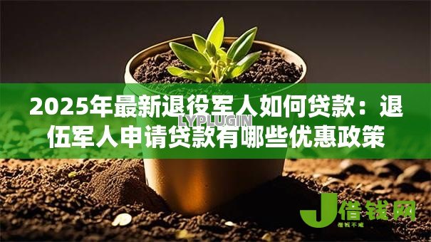 2025年最新退役军人如何贷款：退伍军人申请贷款有哪些优惠政策