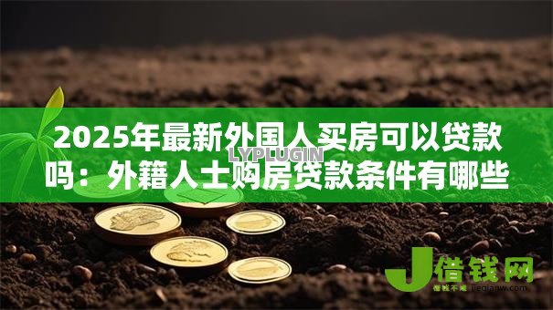 2025年最新外国人买房可以贷款吗：外籍人士购房贷款条件有哪些