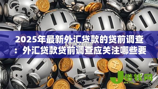 2025年最新外汇贷款的贷前调查:外汇贷款贷前调查应关注哪些要点 2025年最新外汇贷款的贷前调查:外汇贷款贷前调查应关注哪些要点