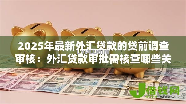 2025年最新外汇贷款的贷前调查审核：外汇贷款审批需核查哪些关键要素