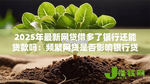 2025年最新网贷借多了银行还能贷款吗：频繁网贷是否影响银行贷款审批