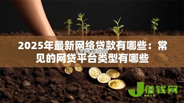 2025年最新网络贷款有哪些：常见的网贷平台类型有哪些