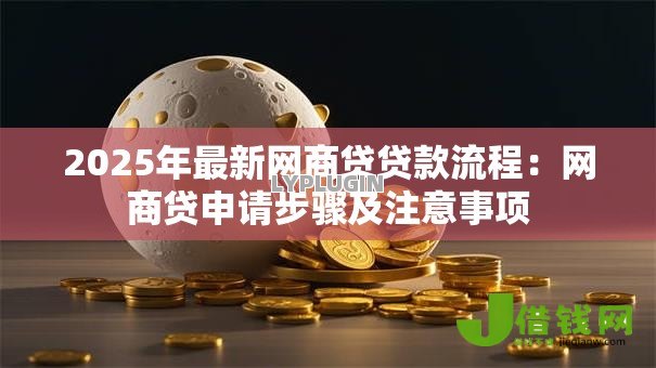 2025年最新网商贷贷款流程：网商贷申请步骤及注意事项