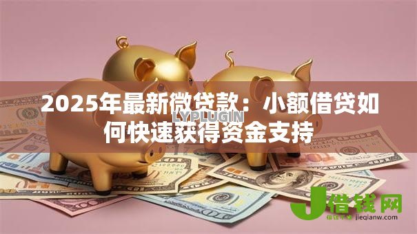 2025年最新微贷款：小额借贷如何快速获得资金支持