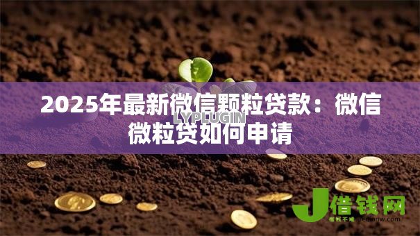 2025年最新微信颗粒贷款：微信微粒贷如何申请