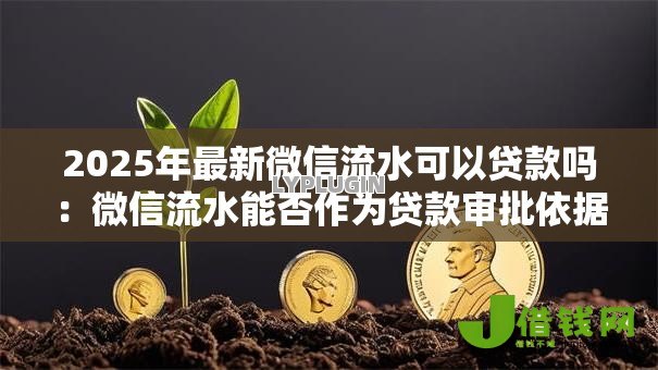 2025年最新微信流水可以贷款吗：微信流水能否作为贷款审批依据