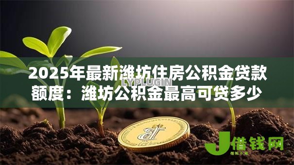 2025年最新潍坊住房公积金贷款额度：潍坊公积金最高可贷多少万？