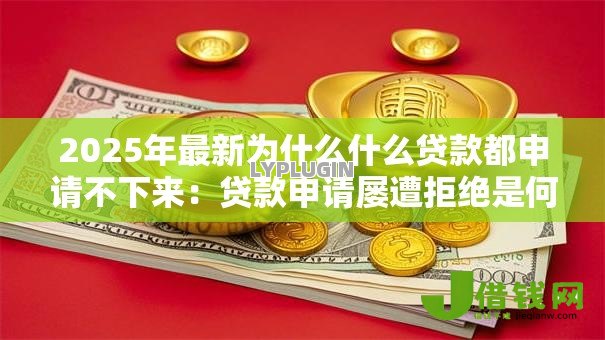 2025年最新为什么什么贷款都申请不下来：贷款申请屡遭拒绝是何原因