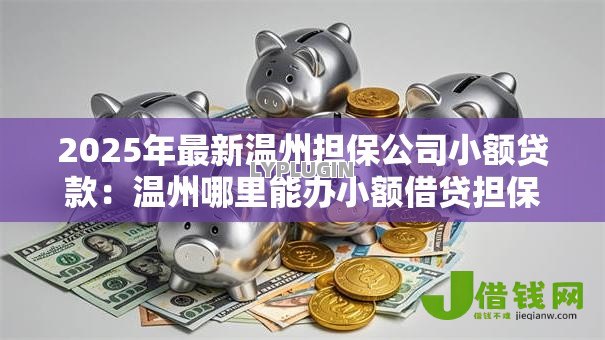 2025年最新温州担保公司小额贷款:温州哪里能办小额借贷担保 2025年最新温州担保公司小额贷款:温州哪里能办小额借贷担保
