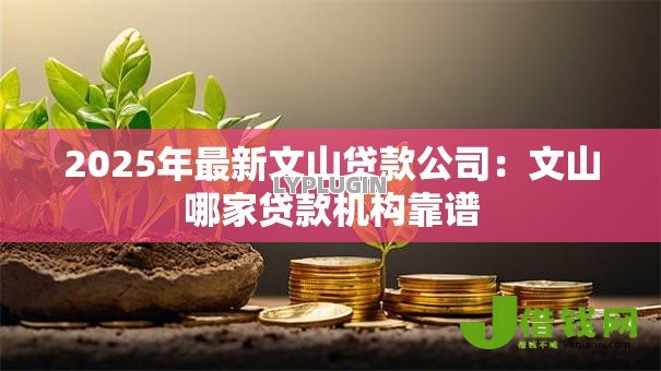 2025年最新文山贷款公司：文山哪家贷款机构靠谱