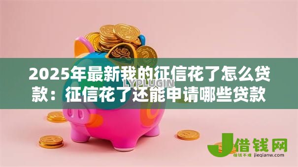 2025年最新我的征信花了怎么贷款:征信花了还能申请哪些贷款 2025年最新我的征信花了怎么贷款:征信花了还能申请哪些贷款