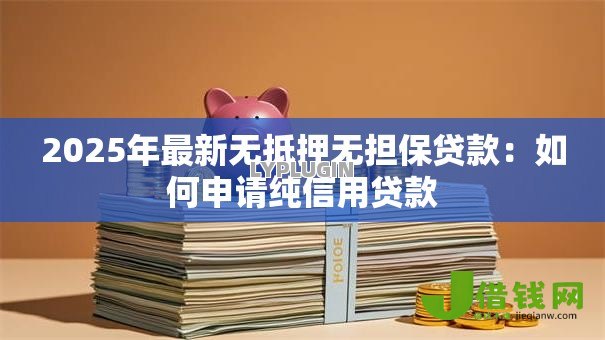 2025年最新无抵押无担保贷款:如何申请纯信用贷款 2025年最新无抵押无担保贷款:如何申请纯信用贷款