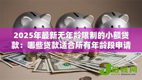 2025年最新无年龄限制的小额贷款：哪些贷款适合所有年龄段申请