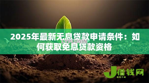 2025年最新无息贷款申请条件：如何获取免息贷款资格