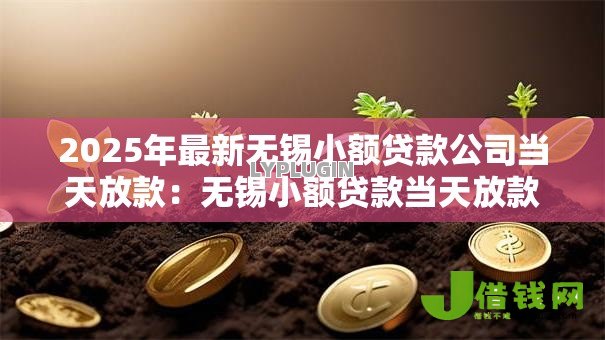 2025年最新无锡小额贷款公司当天放款：无锡小额贷款当天放款靠谱吗