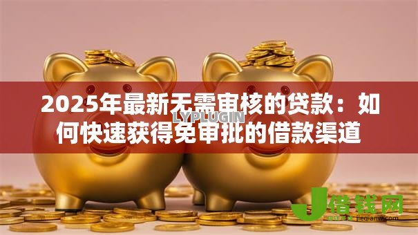 2025年最新无需审核的贷款：如何快速获得免审批的借款渠道