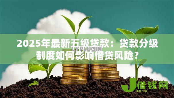 2025年最新五级贷款：贷款分级制度如何影响借贷风险？