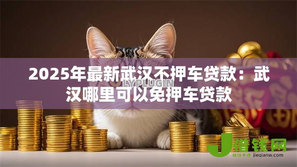 2025年最新武汉不押车贷款:武汉哪里可以免押车贷款 2025年最新武汉不押车贷款:武汉哪里可以免押车贷款