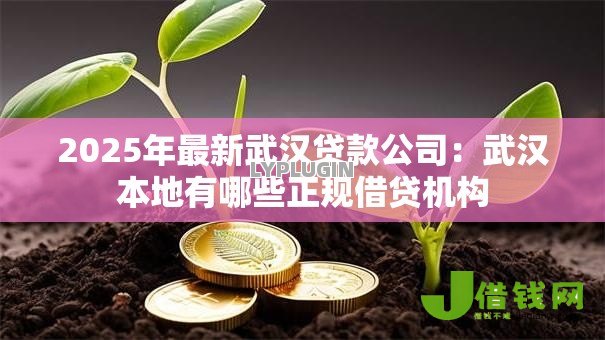 2025年最新武汉贷款公司:武汉本地有哪些正规借贷机构 2025年最新武汉贷款公司:武汉本地有哪些正规借贷机构