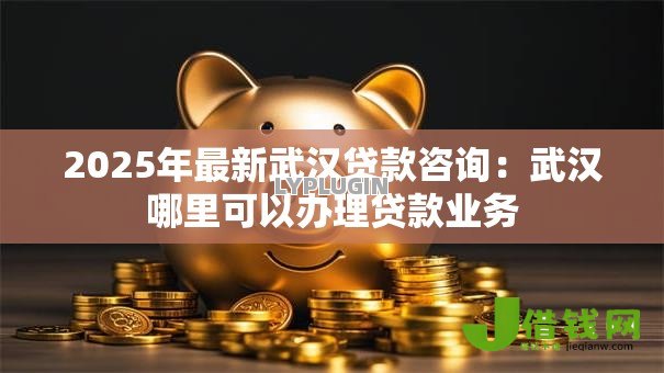 2025年最新武汉贷款咨询：武汉哪里可以办理贷款业务