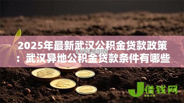 2025年最新武汉公积金贷款政策：武汉异地公积金贷款条件有哪些