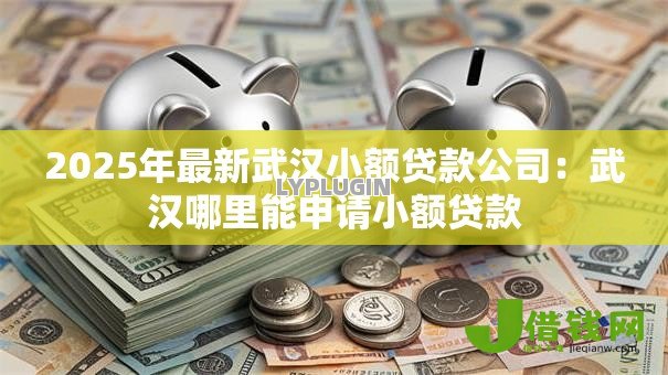 2025年最新武汉小额贷款公司：武汉哪里能申请小额贷款