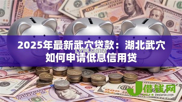 2025年最新武穴贷款：湖北武穴如何申请低息信用贷