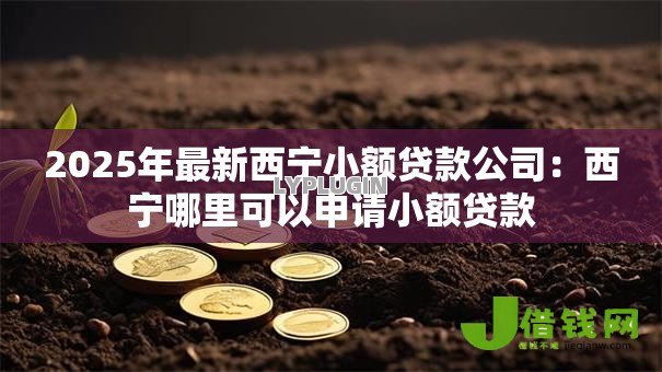 2025年最新西宁小额贷款公司:西宁哪里可以申请小额贷款 2025年最新西宁小额贷款公司:西宁哪里可以申请小额贷款