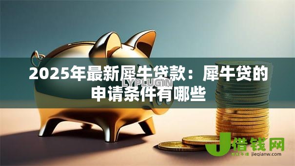 2025年最新犀牛贷款：犀牛贷的申请条件有哪些