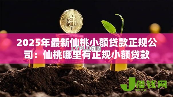 2025年最新仙桃小额贷款正规公司:仙桃哪里有正规小额贷款 2025年最新仙桃小额贷款正规公司:仙桃哪里有正规小额贷款