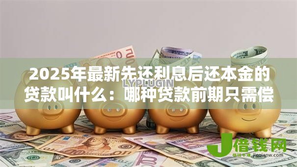 2025年最新先还利息后还本金的贷款叫什么：哪种贷款前期只需偿还利息部分