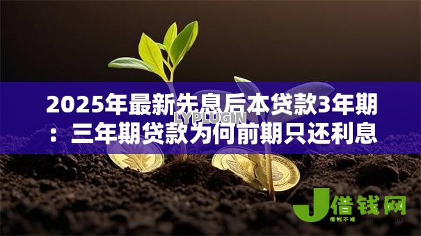 2025年最新先息后本贷款3年期：三年期贷款为何前期只还利息