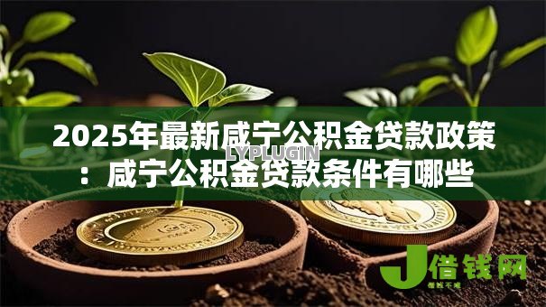 2025年最新咸宁公积金贷款政策：咸宁公积金贷款条件有哪些